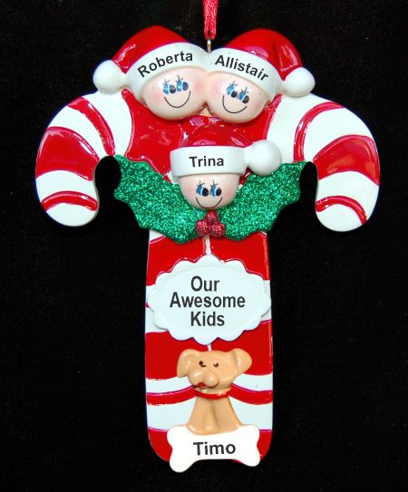 Family Christmas Ornament Candy Canes for 3 with Pets Personalized by RussellRhodes.com