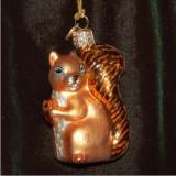 Squirrel Glass Christmas Ornament Personalized FREE at PersonalizedOrnamentsMarket.com by Russell Rhodes