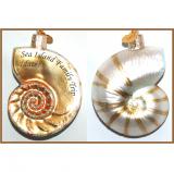 Nautilus Shell Beach n' Sea Glass Christmas Ornament Personalized FREE at PersonalizedOrnamentsMarket.com by Russell Rhodes