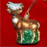 Whitetail Deer Glass Christmas Ornament Personalized FREE at PersonalizedOrnamentsMarket.com by Russell Rhodes