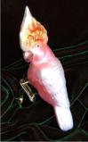 Major Mitchell Cockatoo Christmas Ornament Personalized FREE at PersonalizedOrnamentsMarket.com by Russell Rhodes