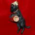 Black Labrador Dog Christmas Ornament Personalized FREE at PersonalizedOrnamentsMarket.com by Russell Rhodes